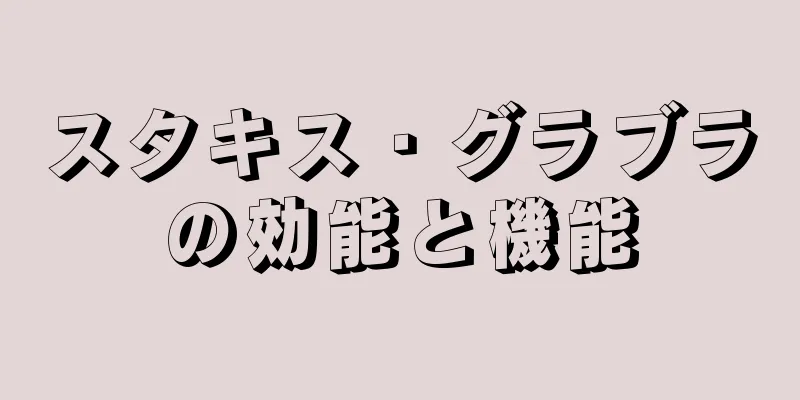 スタキス・グラブラの効能と機能