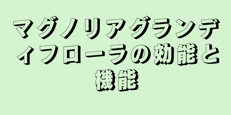 マグノリアグランディフローラの効能と機能
