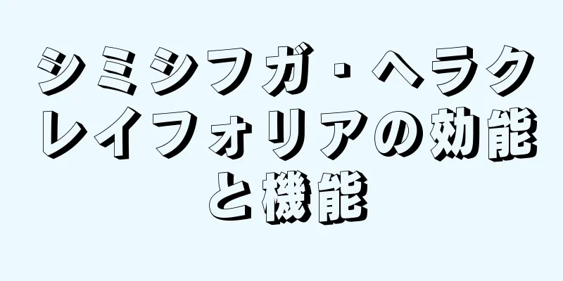 シミシフガ・ヘラクレイフォリアの効能と機能