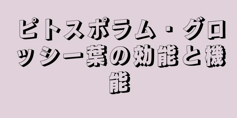 ピトスポラム・グロッシー葉の効能と機能