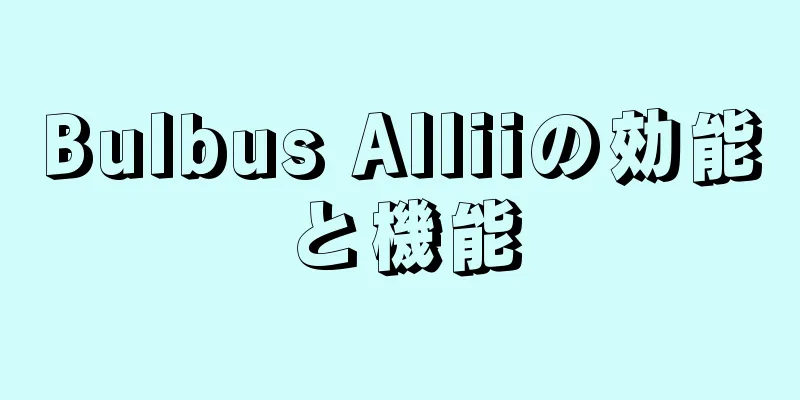Bulbus Alliiの効能と機能