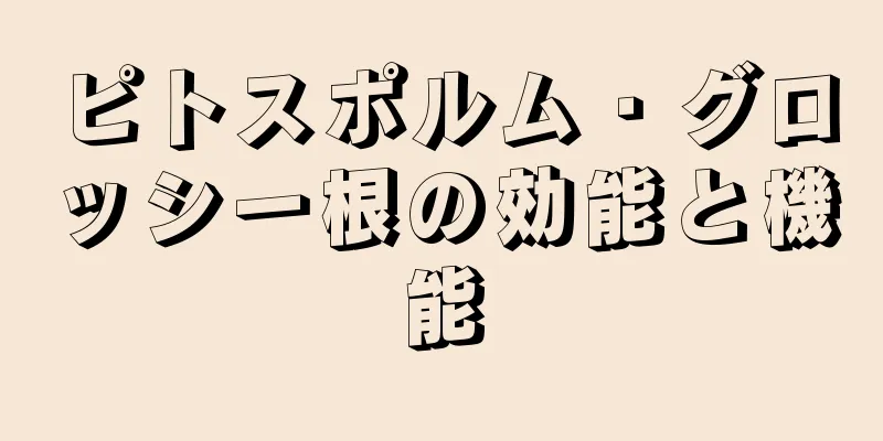 ピトスポルム・グロッシー根の効能と機能