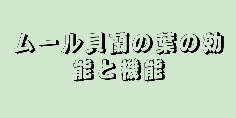 ムール貝蘭の葉の効能と機能