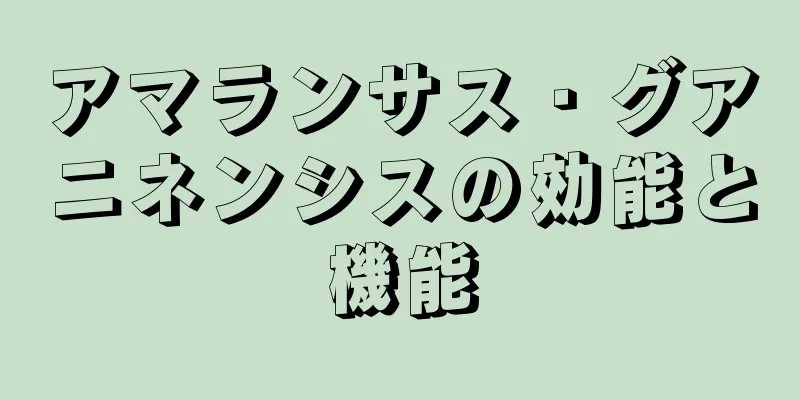 アマランサス・グアニネンシスの効能と機能