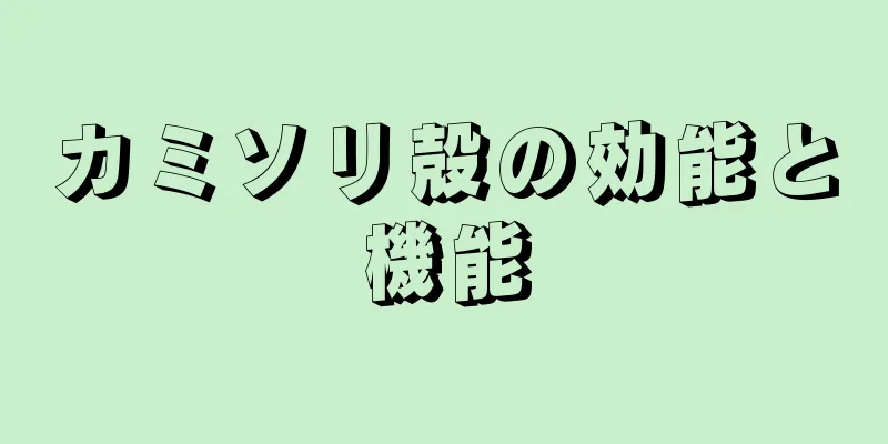 カミソリ殻の効能と機能