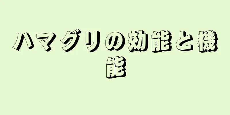 ハマグリの効能と機能