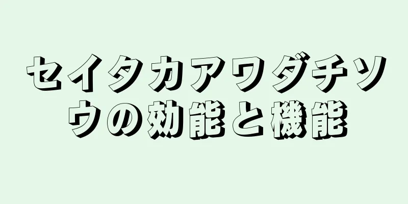 セイタカアワダチソウの効能と機能