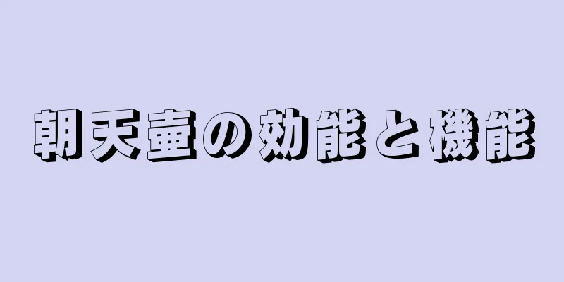 朝天壷の効能と機能