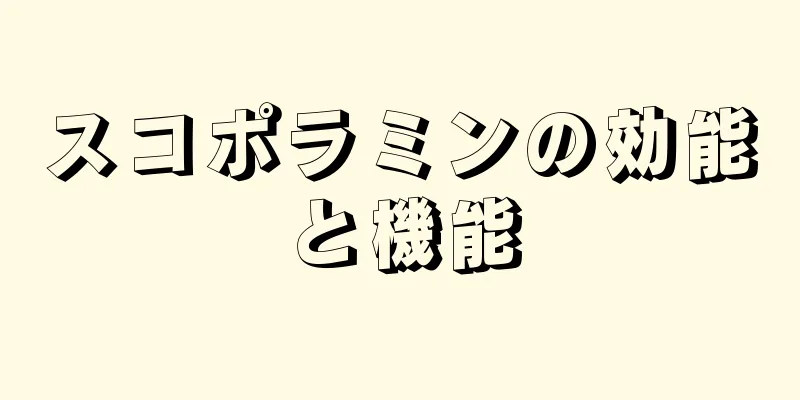 スコポラミンの効能と機能