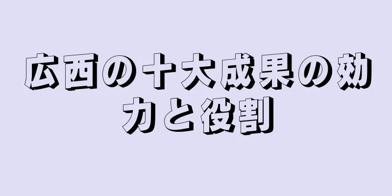 広西の十大成果の効力と役割