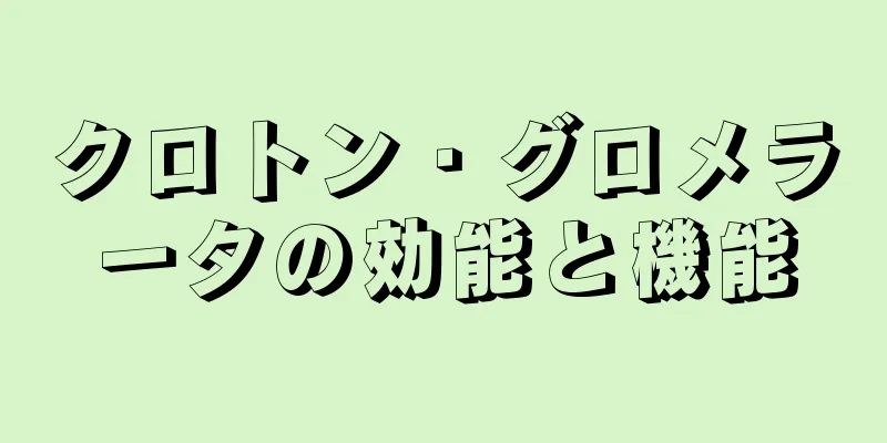 クロトン・グロメラータの効能と機能