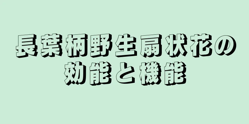 長葉柄野生扇状花の効能と機能