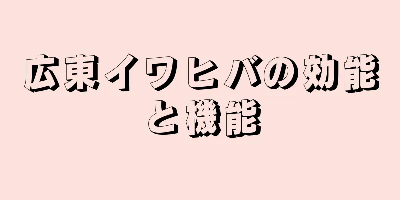 広東イワヒバの効能と機能