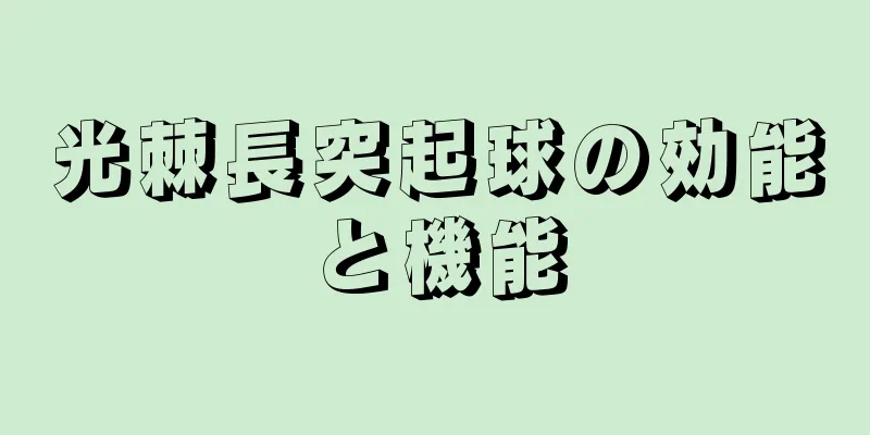 光棘長突起球の効能と機能