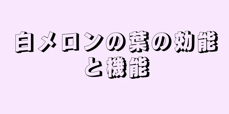 白メロンの葉の効能と機能