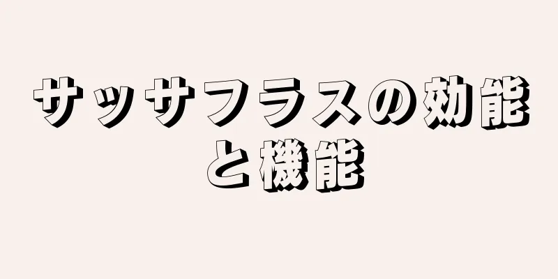 サッサフラスの効能と機能