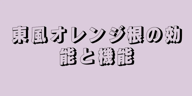 東風オレンジ根の効能と機能