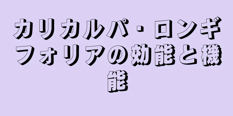 カリカルパ・ロンギフォリアの効能と機能