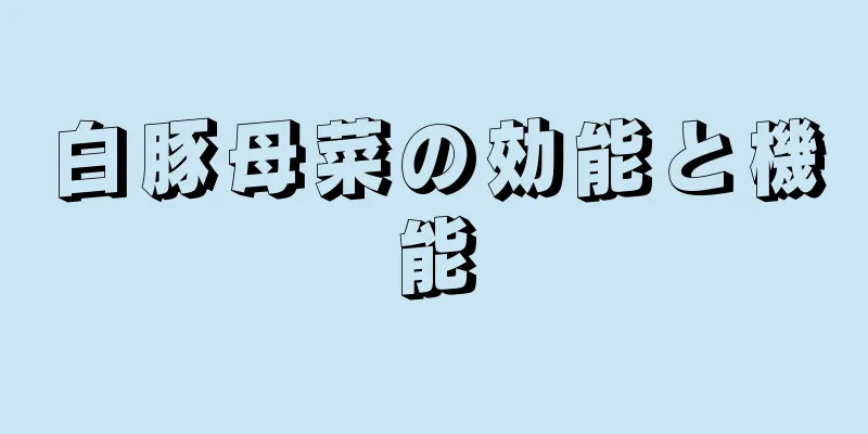 白豚母菜の効能と機能