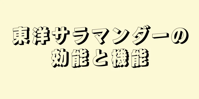 東洋サラマンダーの効能と機能