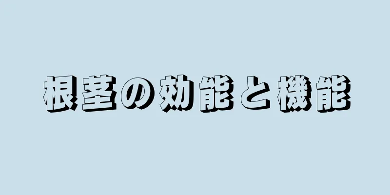 根茎の効能と機能
