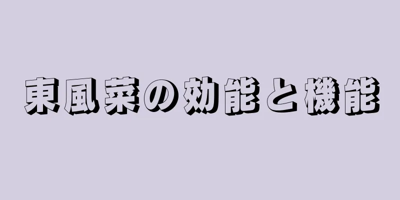 東風菜の効能と機能