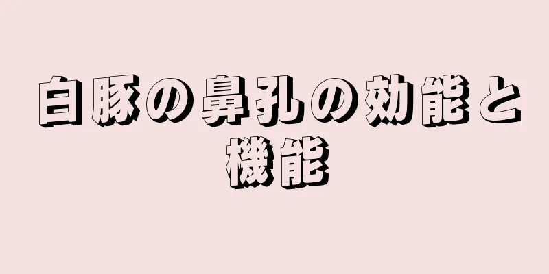 白豚の鼻孔の効能と機能