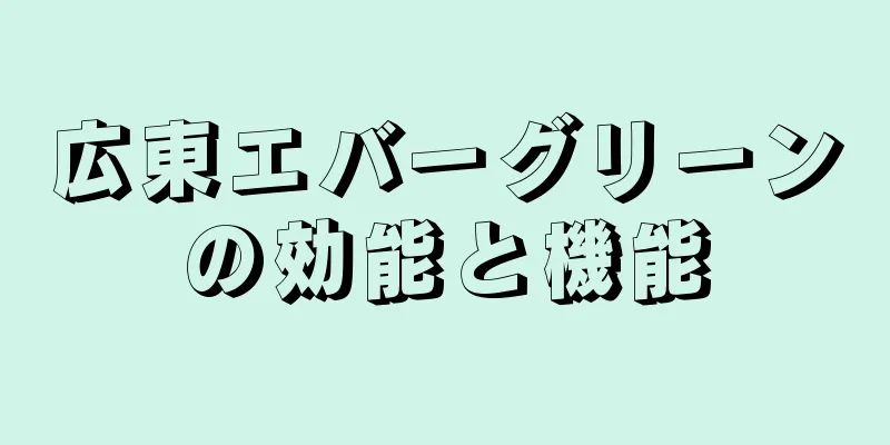 広東エバーグリーンの効能と機能