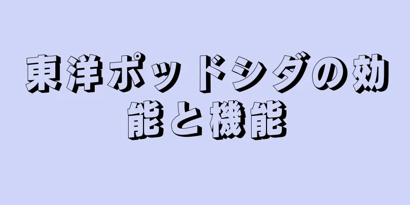 東洋ポッドシダの効能と機能