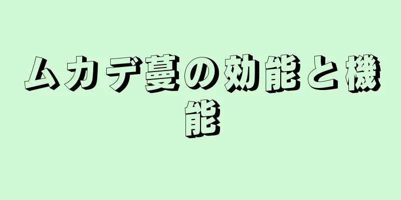 ムカデ蔓の効能と機能