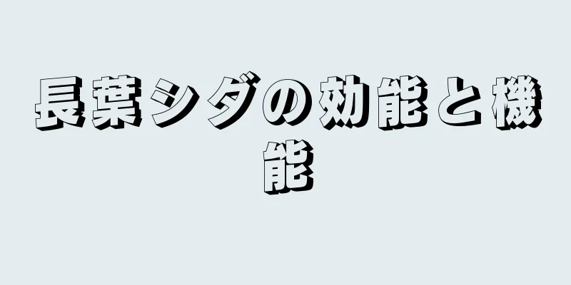 長葉シダの効能と機能