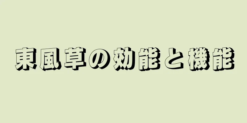 東風草の効能と機能