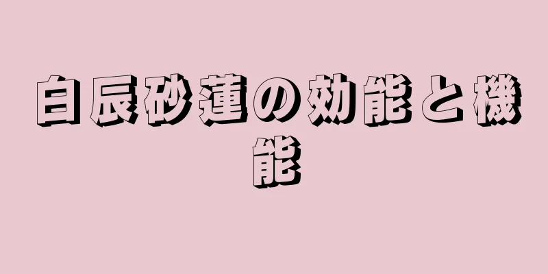 白辰砂蓮の効能と機能