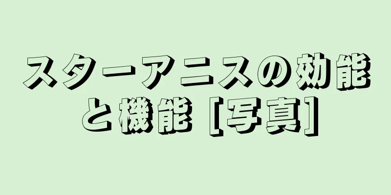 スターアニスの効能と機能 [写真]