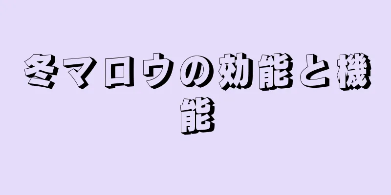 冬マロウの効能と機能