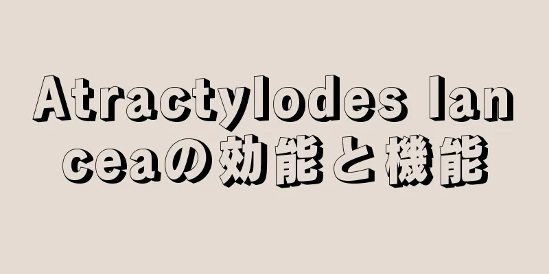 Atractylodes lanceaの効能と機能