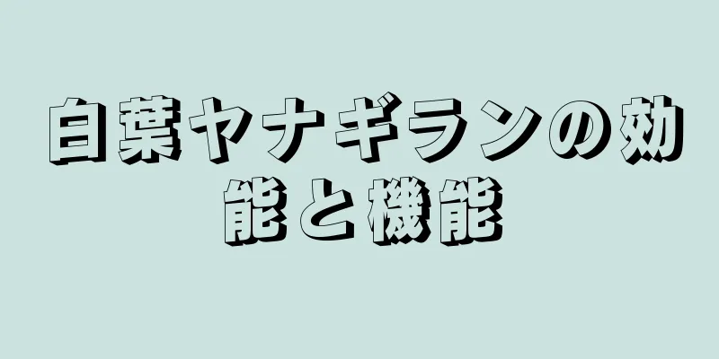 白葉ヤナギランの効能と機能