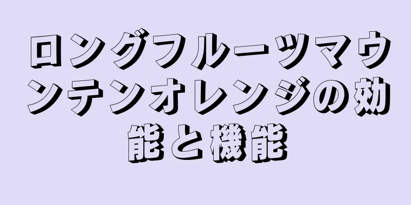 ロングフルーツマウンテンオレンジの効能と機能