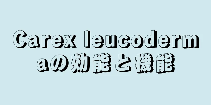 Carex leucodermaの効能と機能