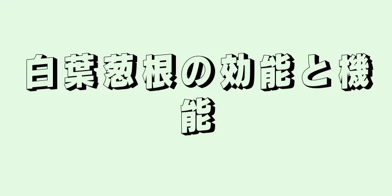 白葉葱根の効能と機能