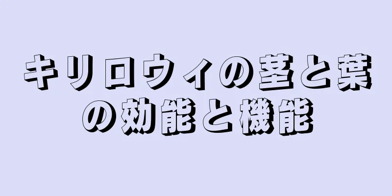 キリロウィの茎と葉の効能と機能