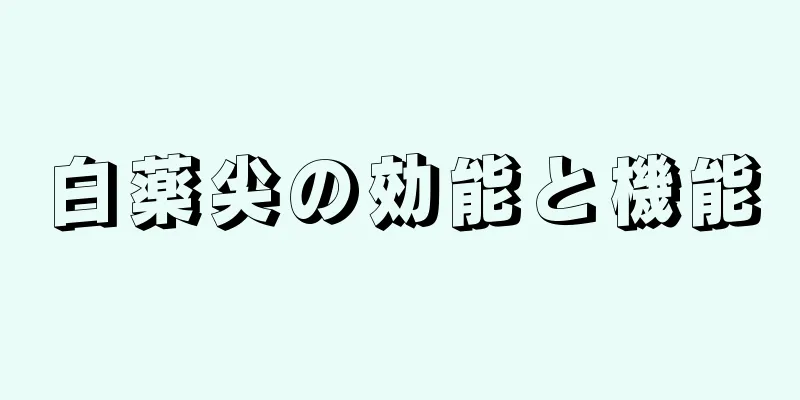 白薬尖の効能と機能