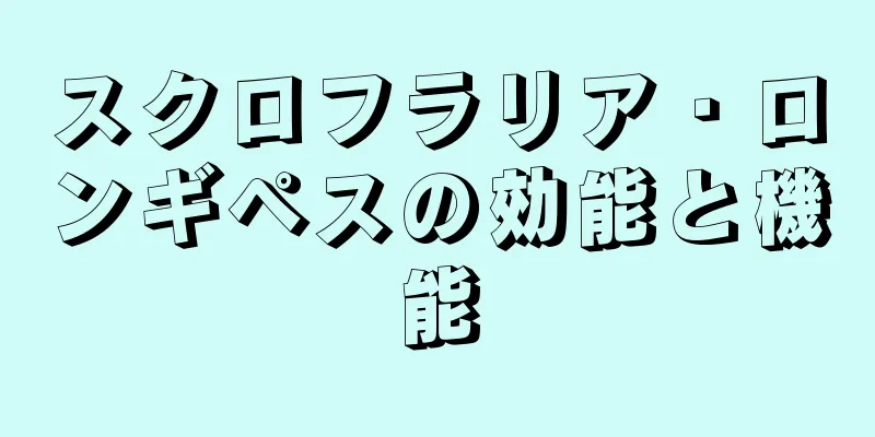スクロフラリア・ロンギペスの効能と機能