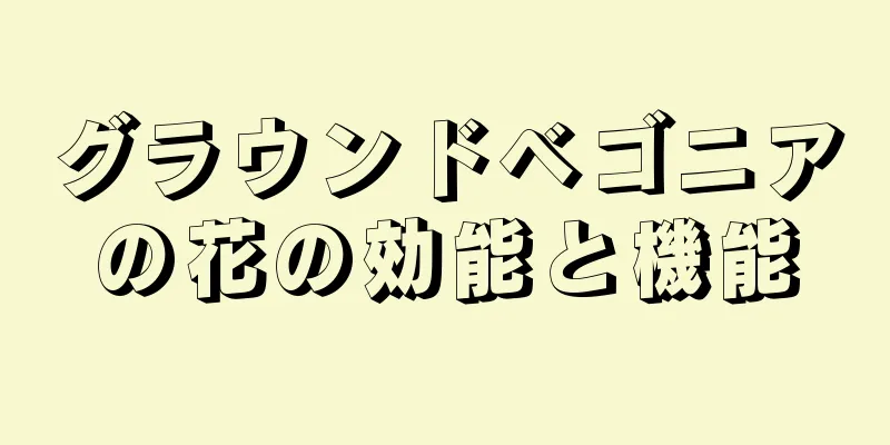 グラウンドベゴニアの花の効能と機能