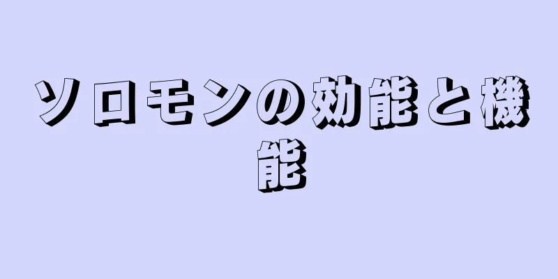 ソロモンの効能と機能