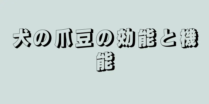 犬の爪豆の効能と機能