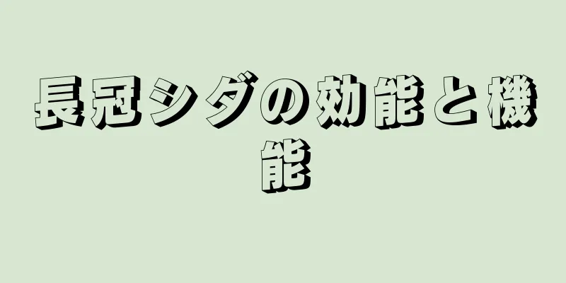 長冠シダの効能と機能