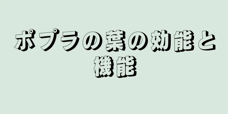 ポプラの葉の効能と機能
