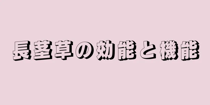 長茎草の効能と機能