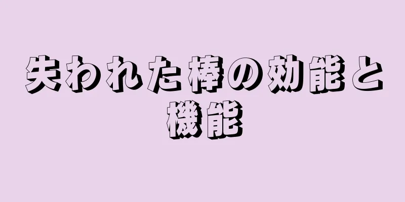失われた棒の効能と機能